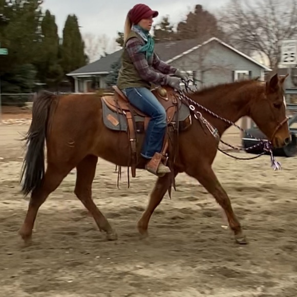 Meet your Posher, Brittany - Picture 5 of 16